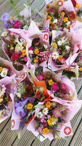 MOPI FLEURS - Visual
