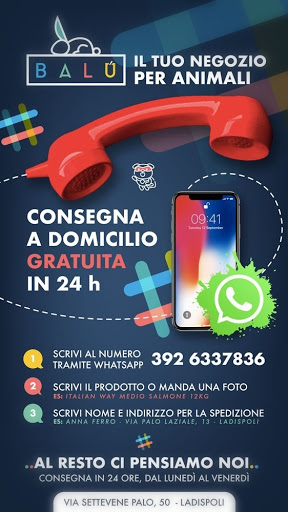 Balù Store - Thumbnail