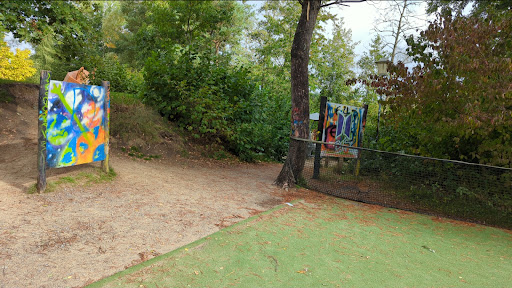 Fußballfeld im Center Parc - Thumbnail
