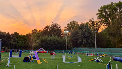 Club de Agility Ourencan