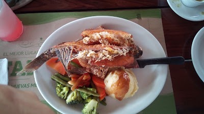 Photos of Restaurante EL RANCHO