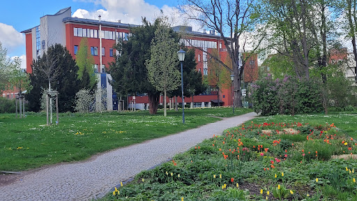 Marienstift Arnstadt -Orthopädische Klinik- Abteilung für Anästhesie