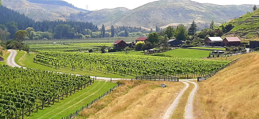 Vines and Views Tours Gallery - New Zealand
