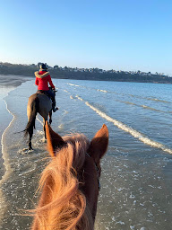 Photo n°26 de Ecurie du cast à Saint-Cast-le-Guildo (Centre équestre)