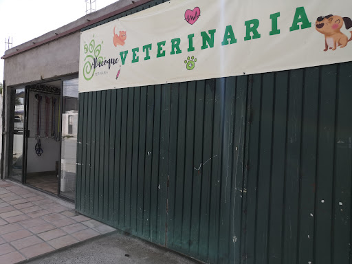 Veterinaria Alacoque - Thumbnail