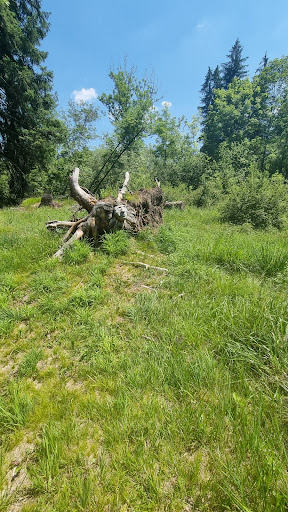 Sentiero naturalistico della rimonta