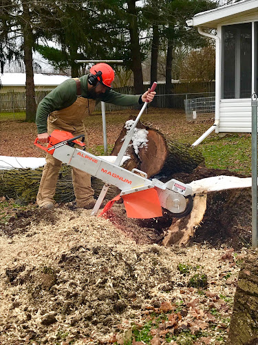 R&R Stump Grinding