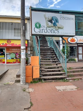 Los Cardones, Author: Gonzalo Alderete