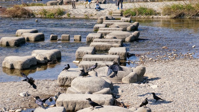 Kamogawa delta