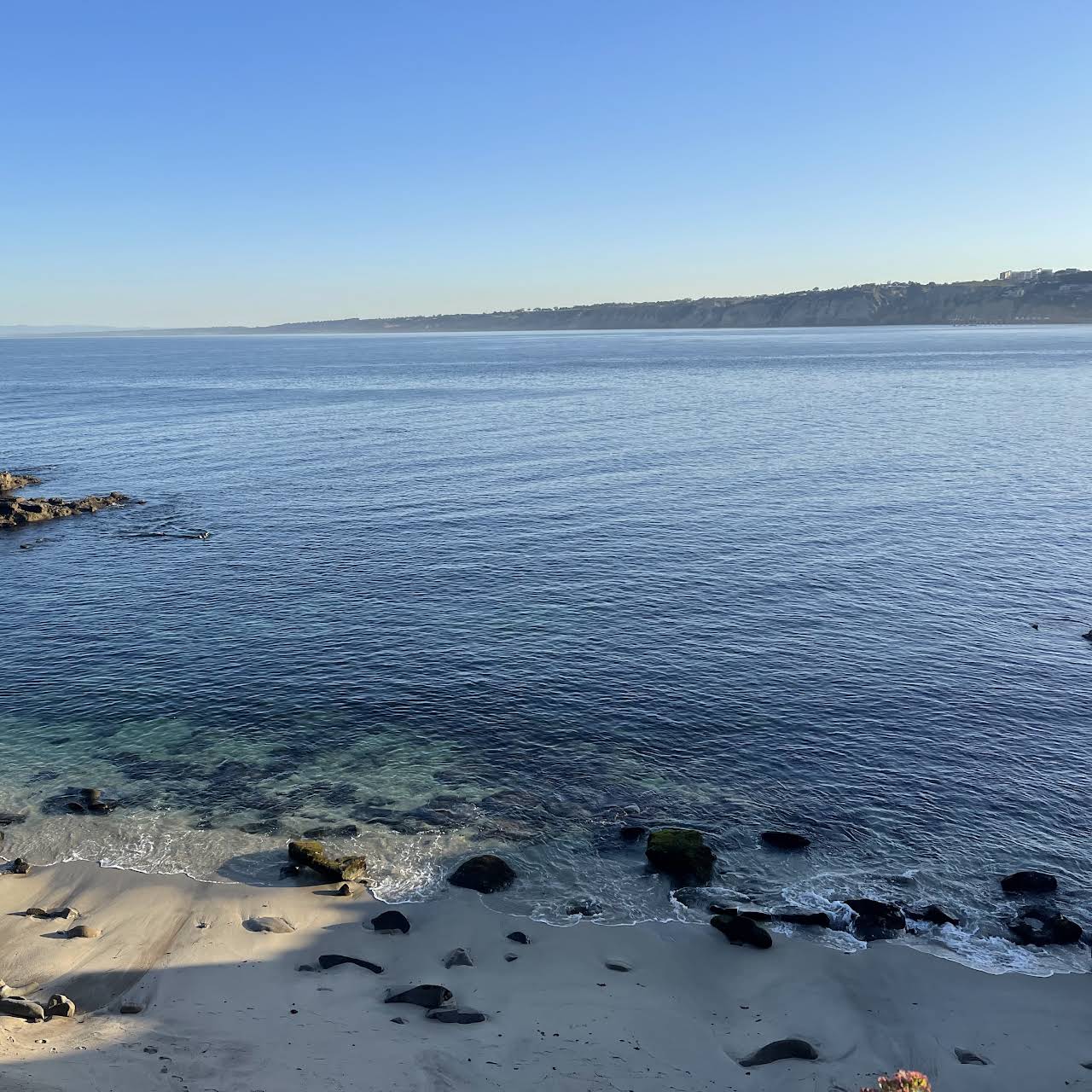 La Jolla Caves Snorkel & Paddleboard Rental Water Sports Equipment