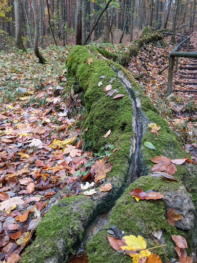 Steinerne Rinne at Wolfsbronn - Thumbnail