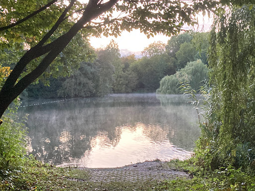 KunstPfad: Frame - Thumbnail