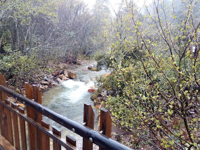 La Alberca