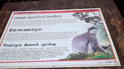 Photos of Horton Plains Cafeteria