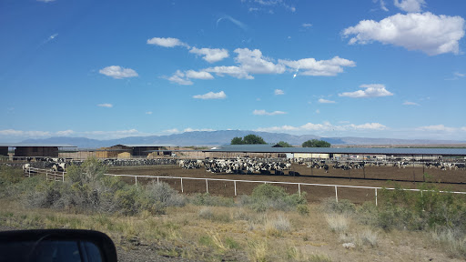 Bosque Dairy - United States