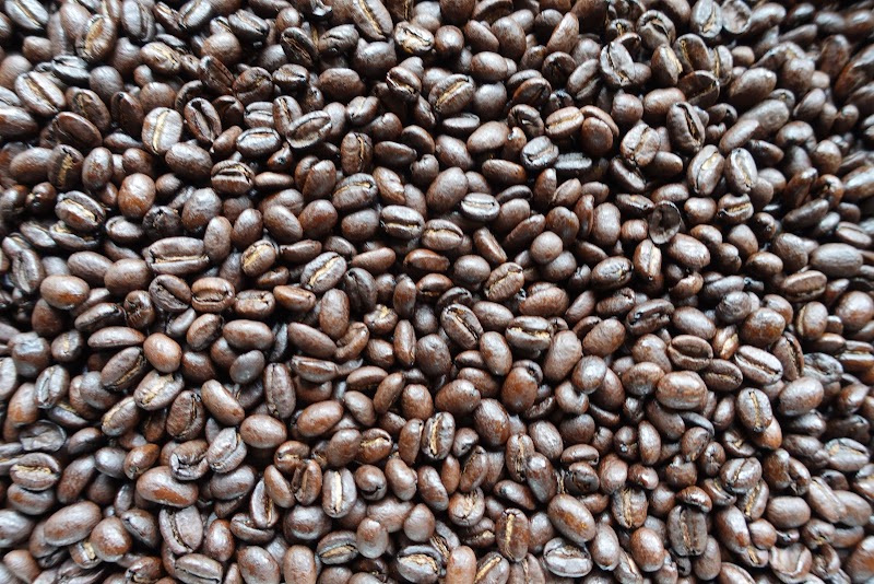 Public's Coffee Branding