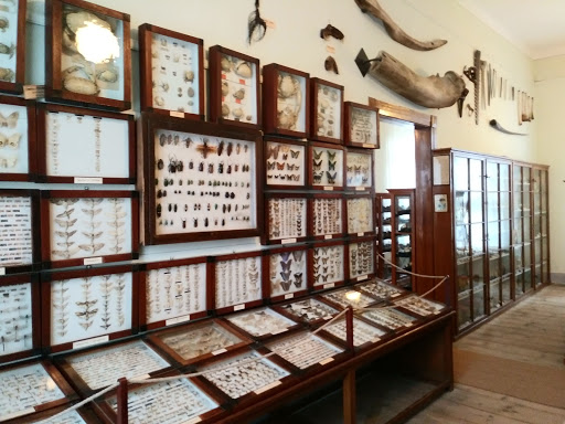 Museum - Natural History Collection Waldenburg - Thumbnail