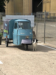 Photo n°12 de Pool et Garden à Condom (Magasin de matériel pour piscines)