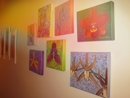 Lux Wellness Studio - Visual