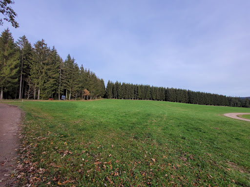 Waldcamping Gütenbach - Thumbnail