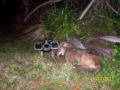 Photos of Kissimmee River Hunt and Fish