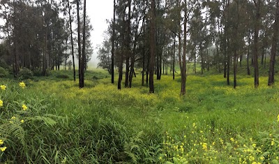 Photos of Lembah Kidang