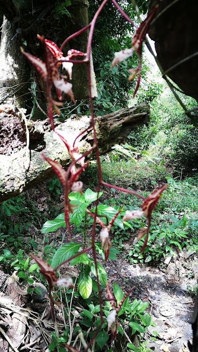 Photos of Macha Tours