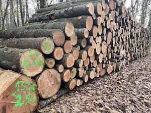 Photo n°18 de Ste Forestière ALTAN à Longny les Villages (Exploitation forestière)