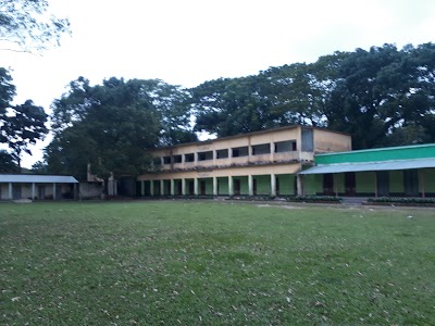 school
