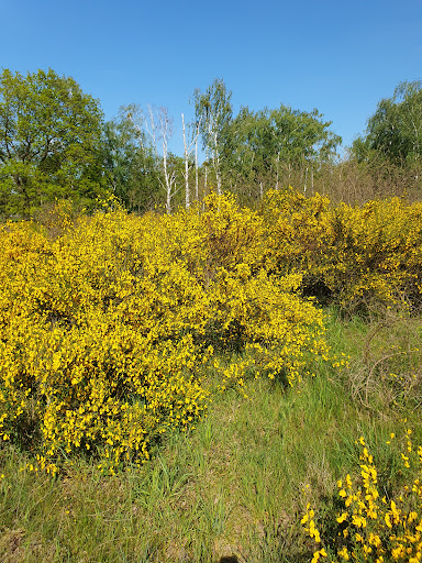 Sielmann Nature Park Döberitz Heath - Thumbnail