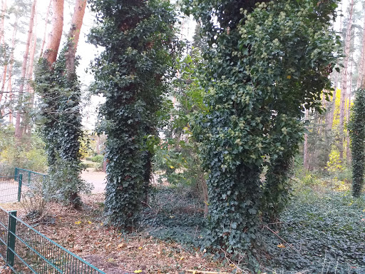 ERBSTORF Friedhof - Thumbnail