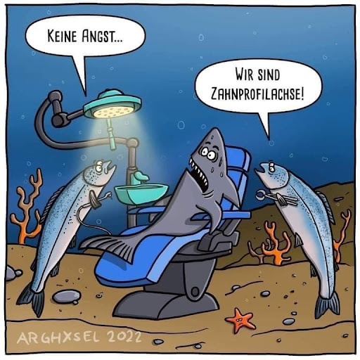 Michael Kurtz - Zahnarzt