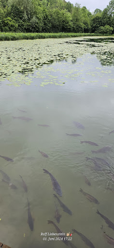 Grünsfelder See - Thumbnail