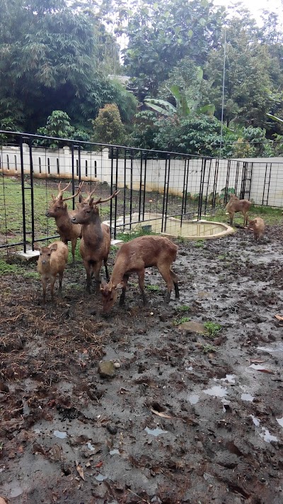 Photos of BUPER LINGGOASRI KAJEN