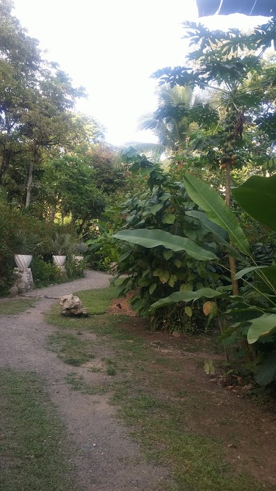 Photos of Aguas Claras