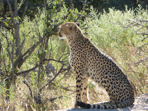 Botswana Trek LLC - Thumbnail