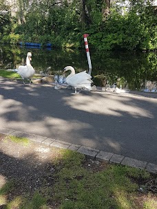 Harrison Park edinburgh