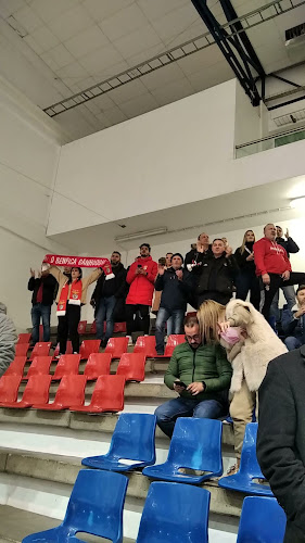 União Desportiva Oliveirense - Campo de futebol