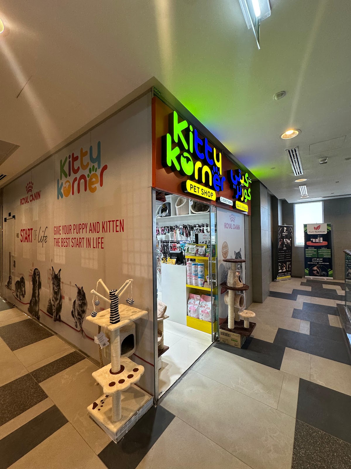 kitty korner petshop - صورة 3