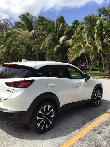 Discovered Car Rental