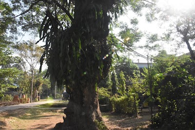 Photos of Dar Pein