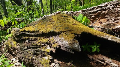 Photos of Black Rock Mountain State Park