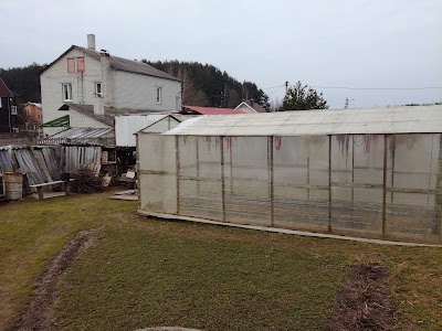 Photos of Ooo "Novyy Vozdukh"