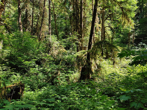 Twanoh State Park - Thumbnail