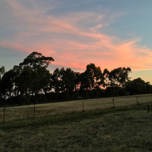 Heathcote Fields - Visual