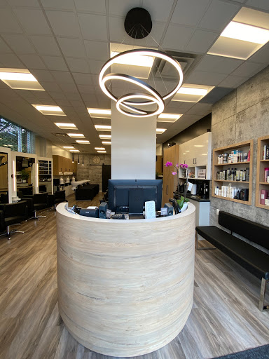 SALON CACHET LTD