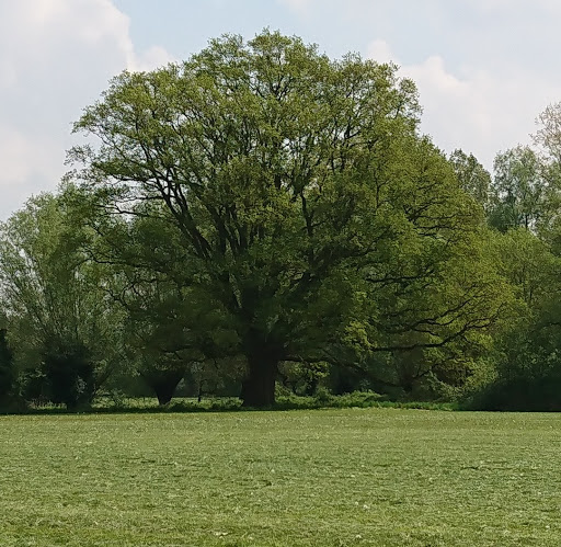 Het kleine broertje - Thumbnail