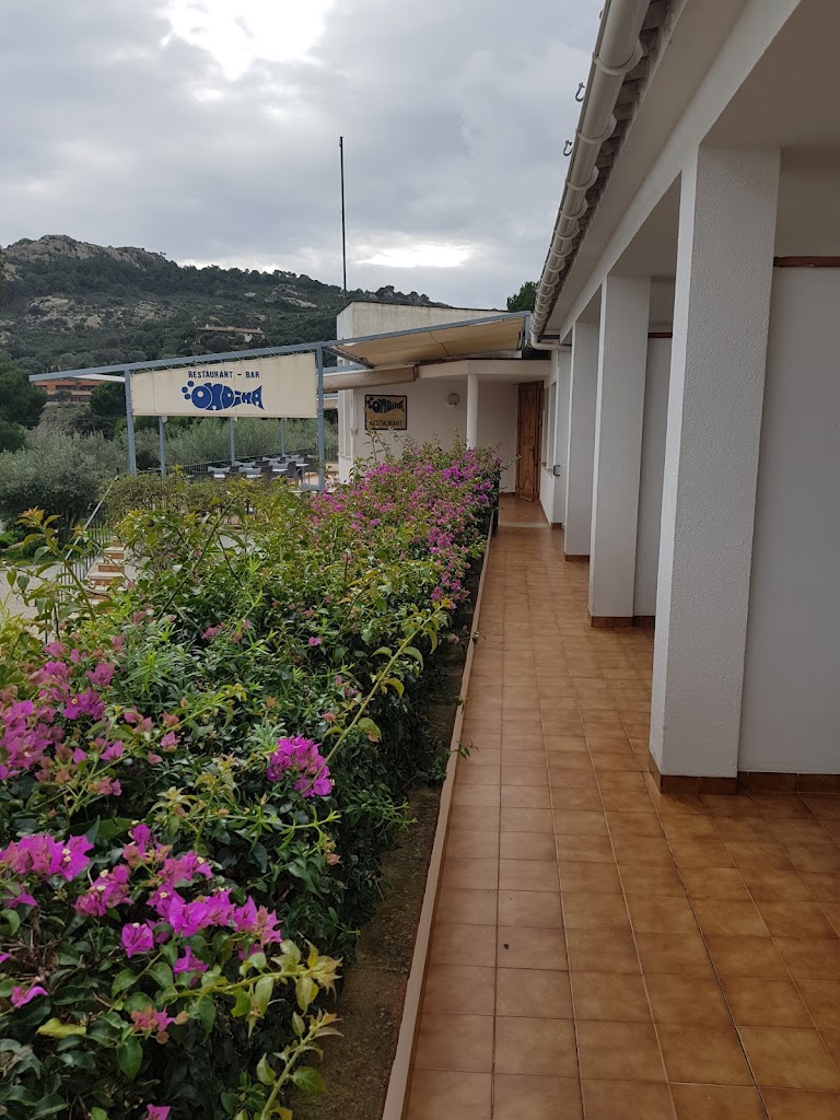 Foto de Hostal Ondina en Girona