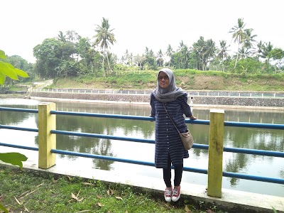 park