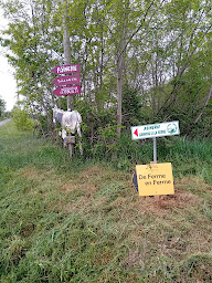 Photo n°14 de Asinerie d'En Manaou à Thil (Association bénévole)